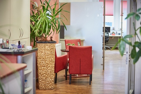 Modernes Büro mit roten Stühlen, Holzboden, großen Pflanzen und Glaswand im Empfangsbereich.